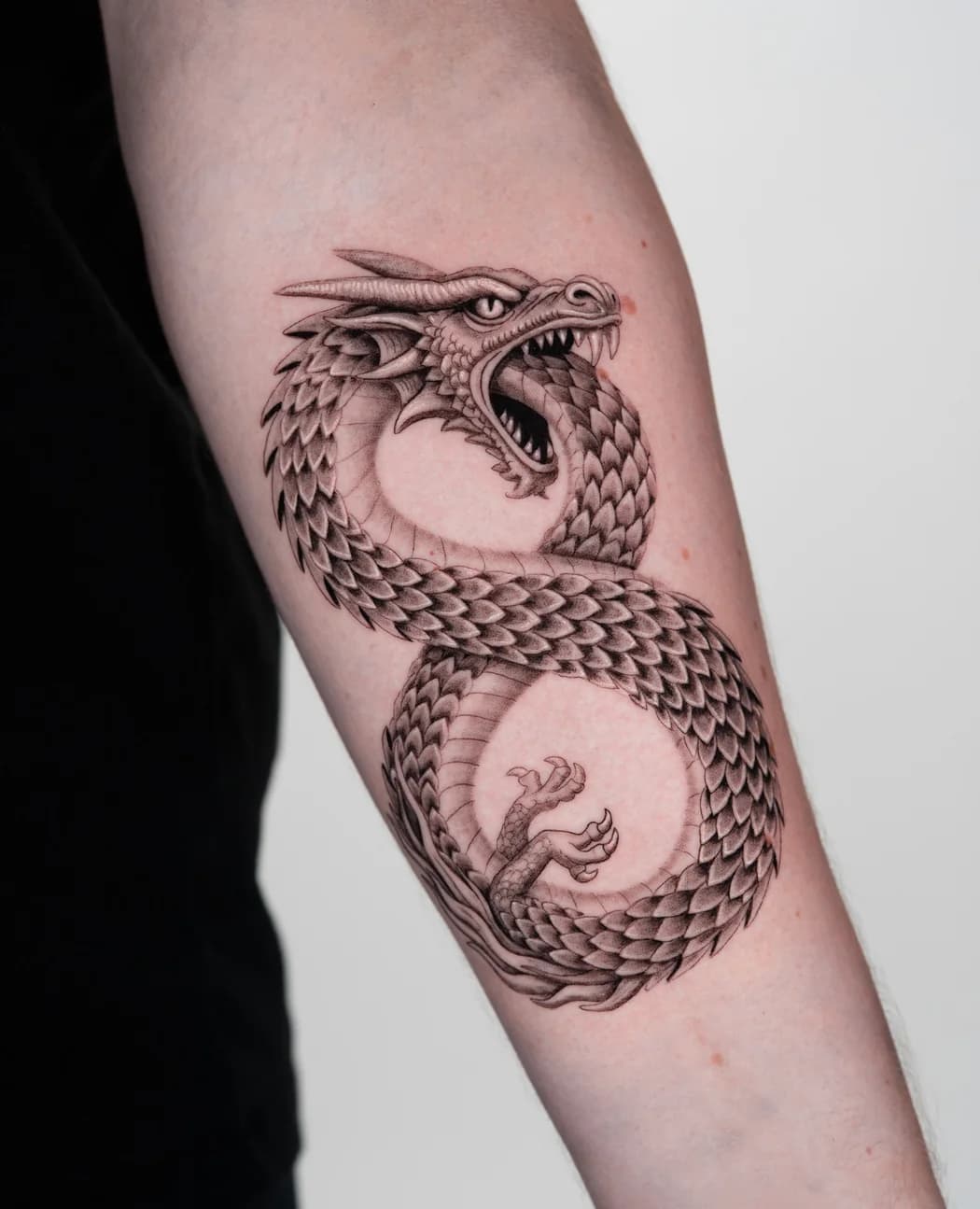 Scaled dragon curled into an ouroboros around a forearm