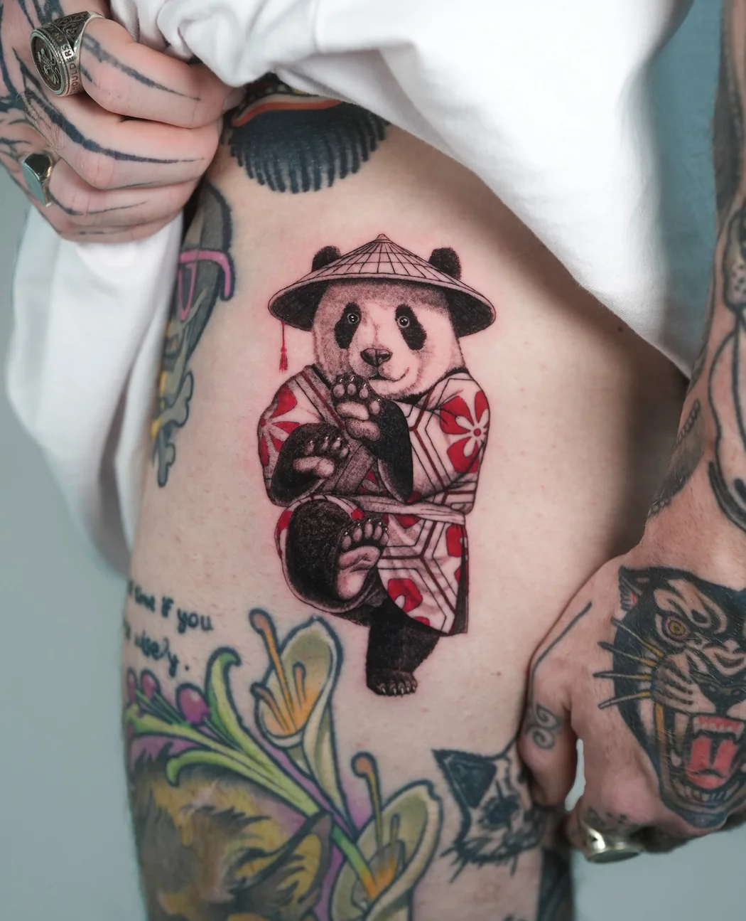 Panda in a kimono across the ribs, in colour