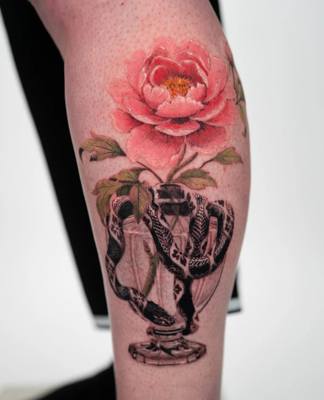 Pink peony growing out of a chalice, in colour