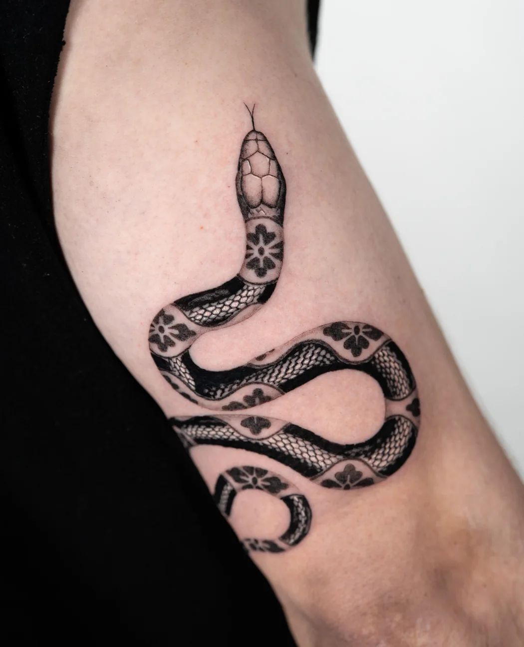 Patterned snake looping down an inner arm