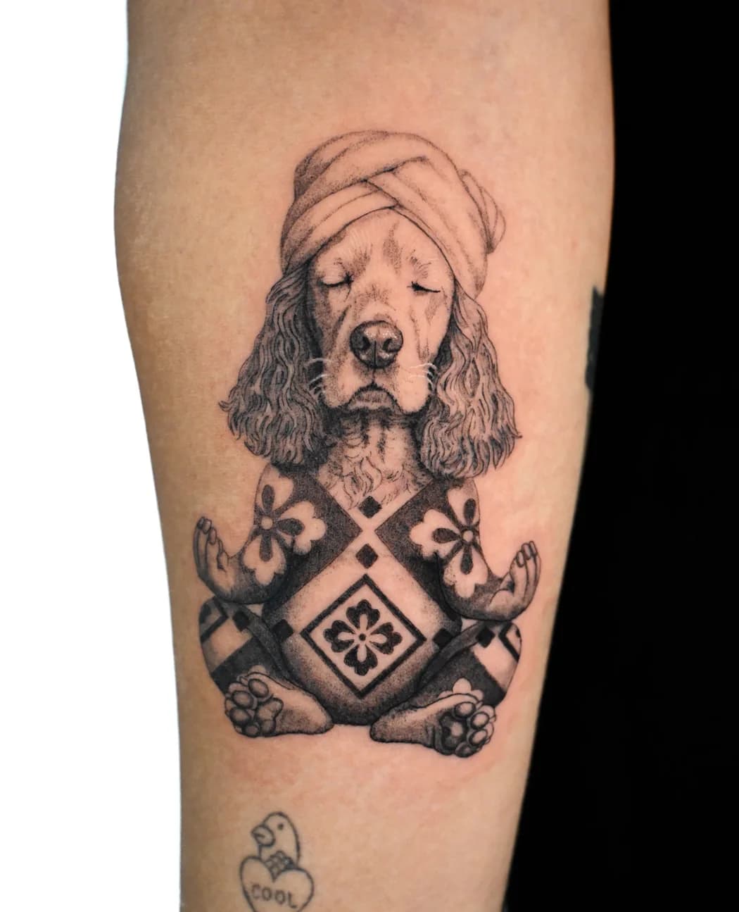 Spaniel in a turban above a patterned emblem